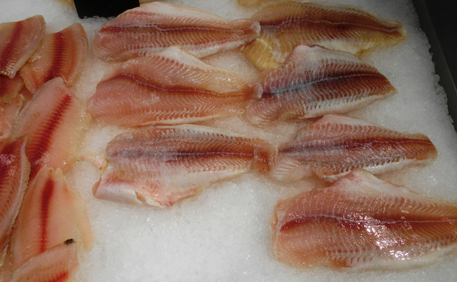 Обои картинки фото еда, рыба,  морепродукты,  суши,  роллы