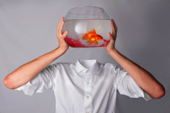 обоя юмор и приколы, аквариум