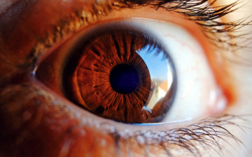 Картинка разное глаза макро глаз