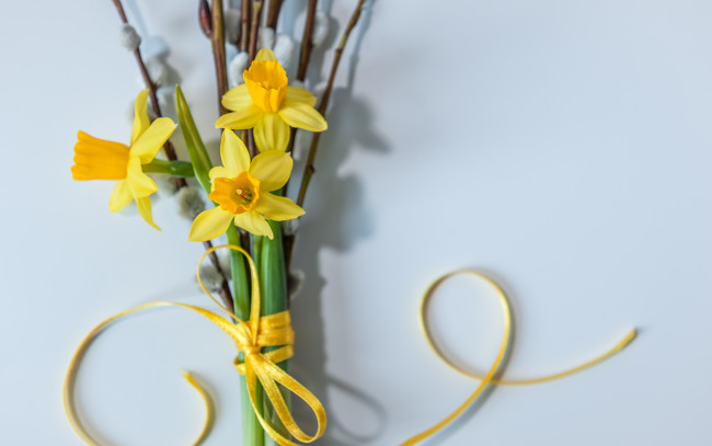 Обои картинки фото цветы, нарциссы, верба, букет