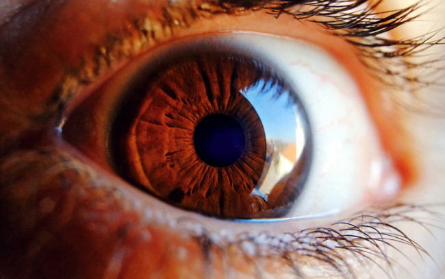 Обои картинки фото разное, глаза, макро, глаз