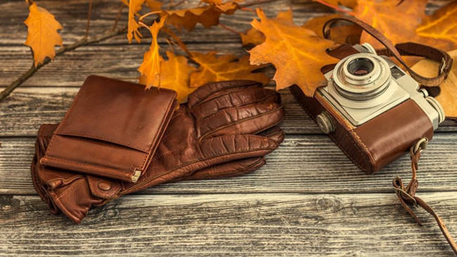 Обои картинки фото разное, сумки,  кошельки,  зонты, перчатки, портмоне, фотоаппарат