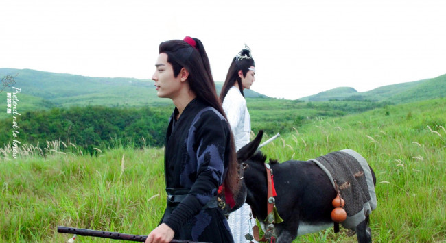 Обои картинки фото кино фильмы, the untamed, вэй, усянь, лань, ванцзы, ослик