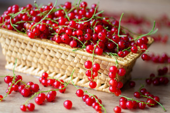 Картинка еда смородина ягоды