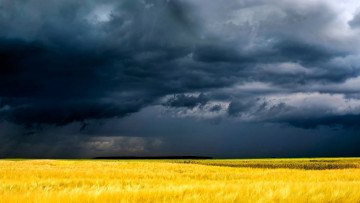 Картинка природа поля небо тучи поле