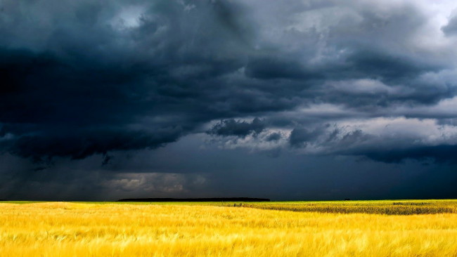 Обои картинки фото природа, поля, небо, тучи, поле