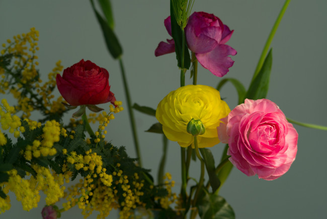 Обои картинки фото цветы, букеты,  композиции, букет