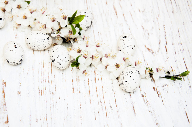 Обои картинки фото праздничные, пасха, яйца, ветка, цветение