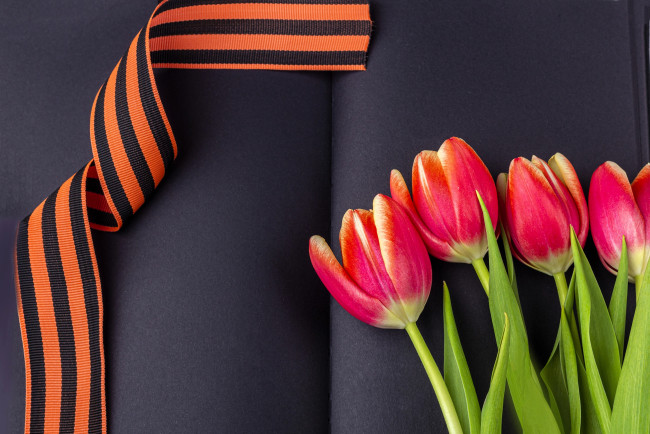 Обои картинки фото праздничные, день победы, георгиевская, лента, тюльпаны