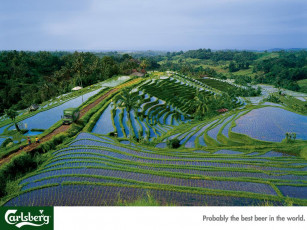 Картинка бренды carlsberg