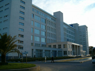 Картинка philips бренды