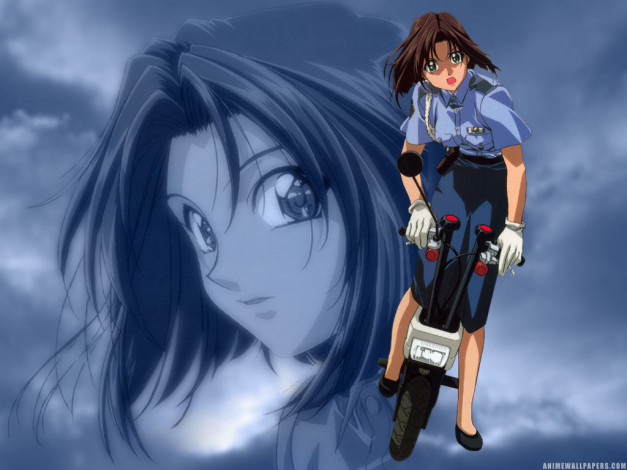 Обои картинки фото аниме, you`re, under, arrest