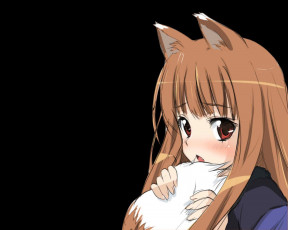 Картинка аниме spice and wolf