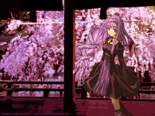 обоя аниме, erementar, gerad