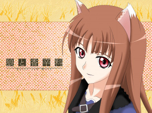 Картинка аниме spice and wolf
