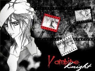 Картинка аниме vampire knight