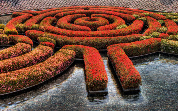 Картинка природа парк