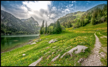 Картинка природа пейзажи