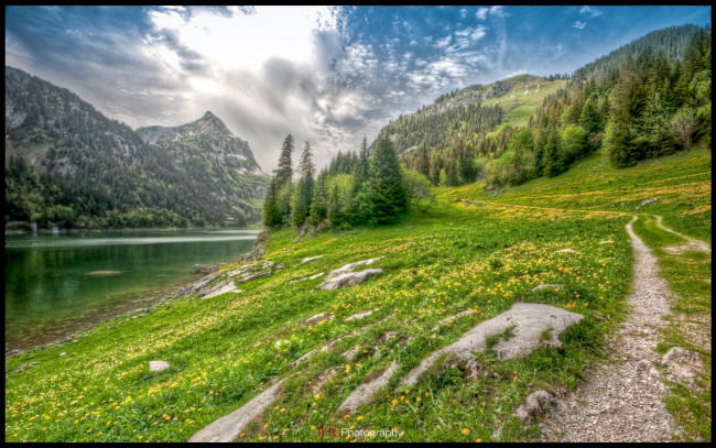 Обои картинки фото природа, пейзажи