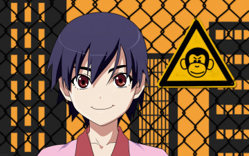 Картинка bakemonogatari аниме kanbaru+suruga девушка форма сетка дом обезьяна знак