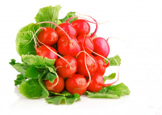 Картинка еда редис репа редька