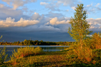 Картинка германия лаупхайм природа реки озера кусты река
