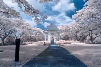 Картинка singapore природа парк деревья беседка дорожка сингапур