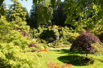 Картинка butchart gardens victoria канада природа парк цветы растения дорожки сад клумбы