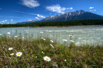 Картинка vermilion river kootenay national park canada природа реки озера берег река