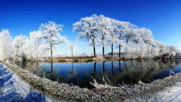 Картинка природа реки озера деревья иней река