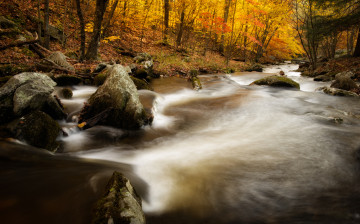 Картинка macedonia brook state park kent connecticut природа реки озера река осень камни лес