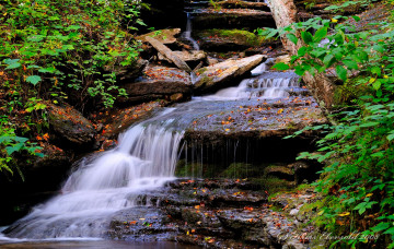 Картинка водопад природа водопады скалы кусты