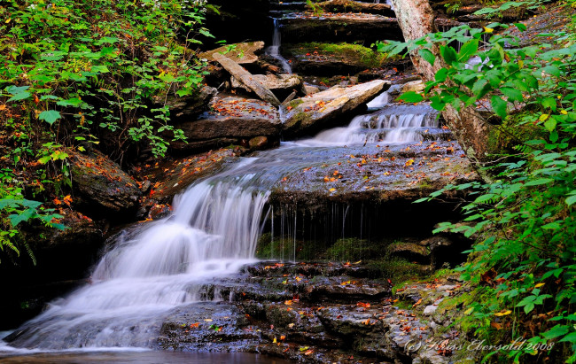 Обои картинки фото водопад, природа, водопады, скалы, кусты