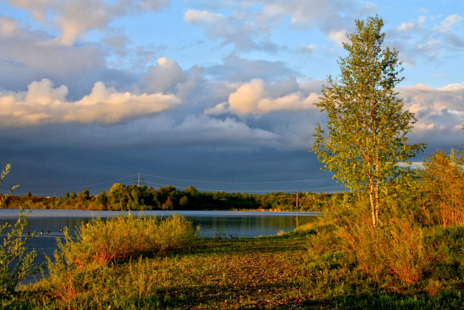 Обои картинки фото германия, лаупхайм, природа, реки, озера, кусты, река