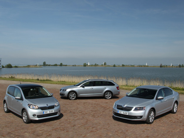 Обои картинки фото автомобили, skoda