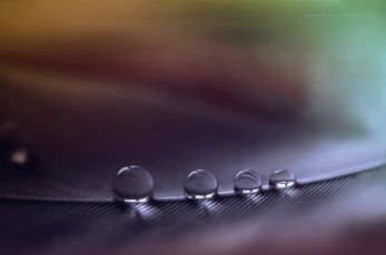 Картинка разное капли +брызги +всплески макро перо большие малые