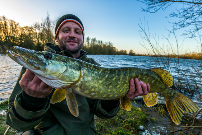 Обои картинки фото разное, рыбалка,  рыбаки,  улов,  снасти, щучка