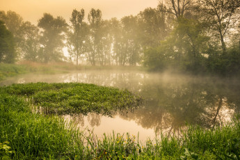 Картинка природа реки озера лес река