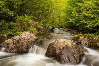 Картинка природа реки озера река лес