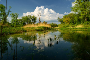 Картинка природа реки озера река лес