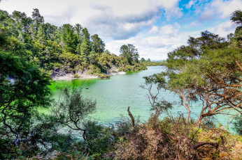 Картинка природа реки озера река лес