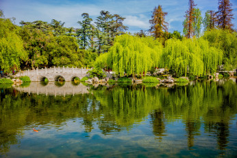 Картинка природа реки озера река лес