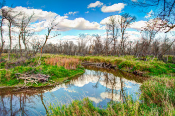 Картинка природа реки озера лес река