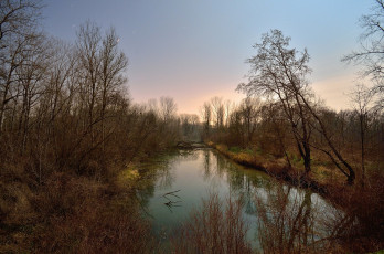 Картинка природа реки озера река лес