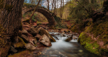 Картинка природа реки озера лес река