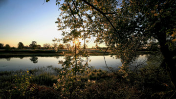 Картинка природа реки озера река лес