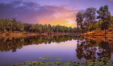 Картинка природа реки озера река лес