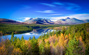 Картинка природа реки озера река лес