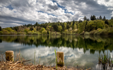 Картинка природа реки озера лес река