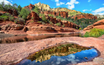 Картинка природа реки озера река лес